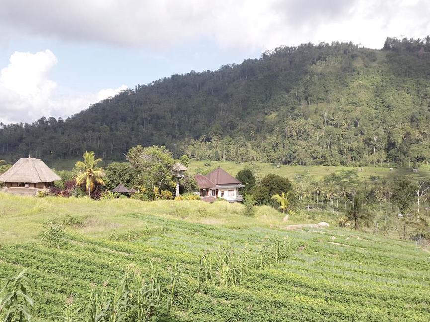 Embang Homestay Sidemen  Exterior photo
